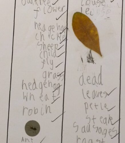 Living Things and Their Habitats 3