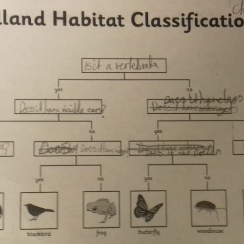 Living Things and Their Habitats 5