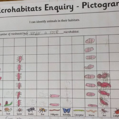 Living Things and Their Habitats 6