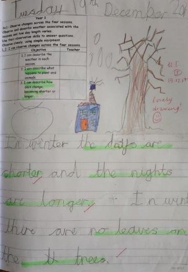 year 1 science cookridge primary