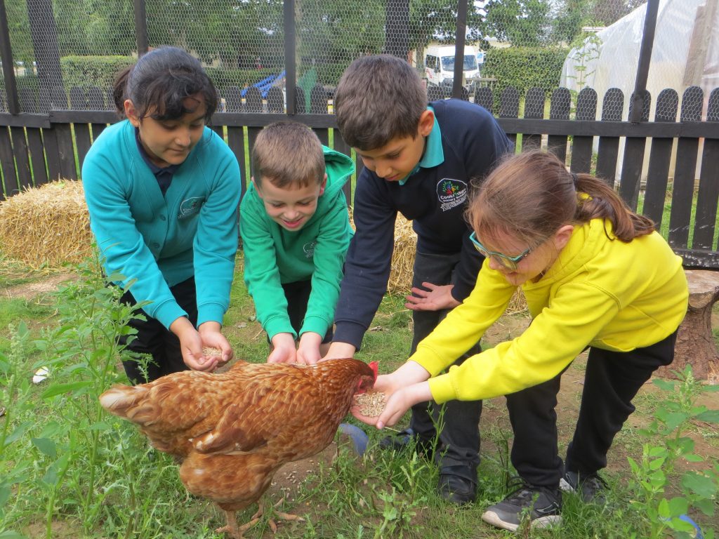Forest School 'Well-Being Wednesday'