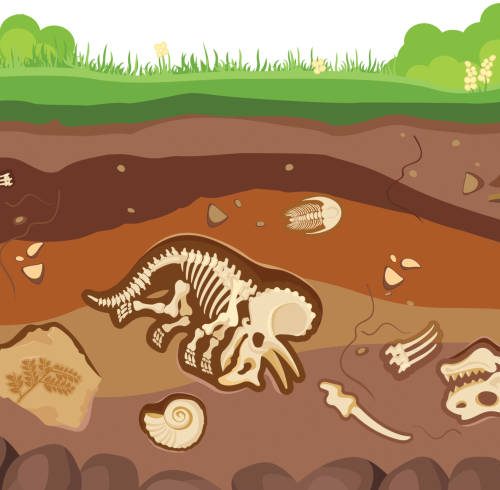 Soil ground layers with buried fossil animals, dinosaur, crustaceans and bones. Vector flat cartoon illustration