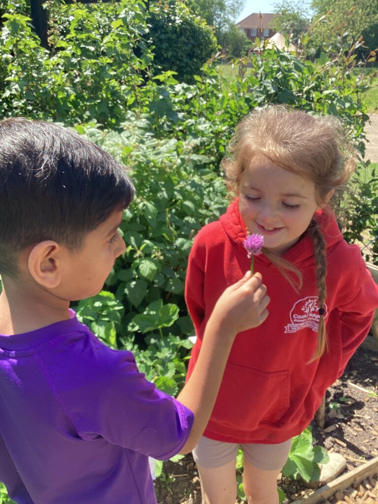 KS1 - Newsletter - 16.5.25