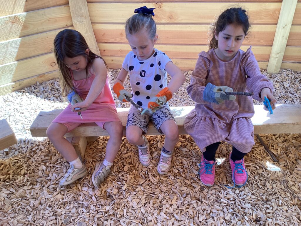 KS1-Forest Schools