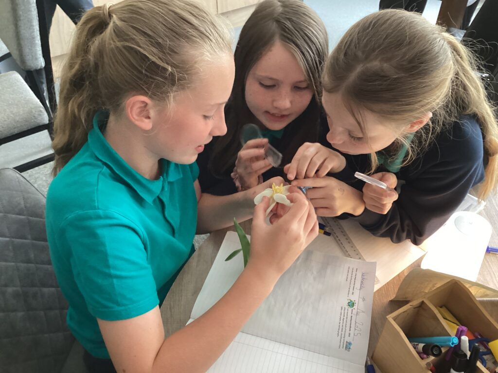 UKS2 - Year 5 - Science