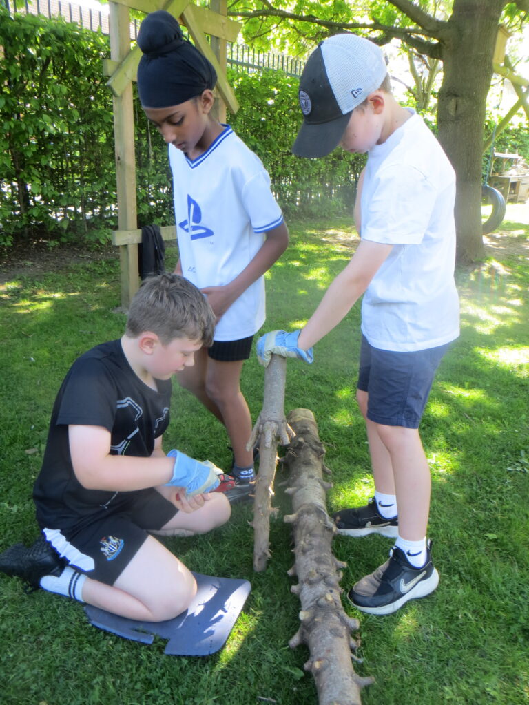LKS2 - Tools - Forest School