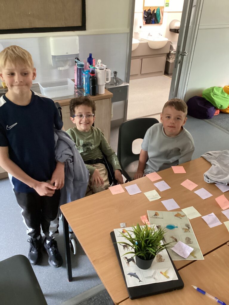 LKS2 - C5 & 7 - Science