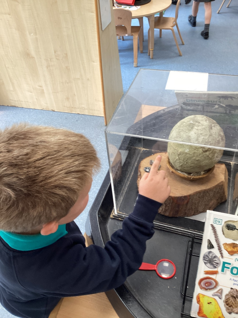 EYFS - Newsletter - 13.06.25