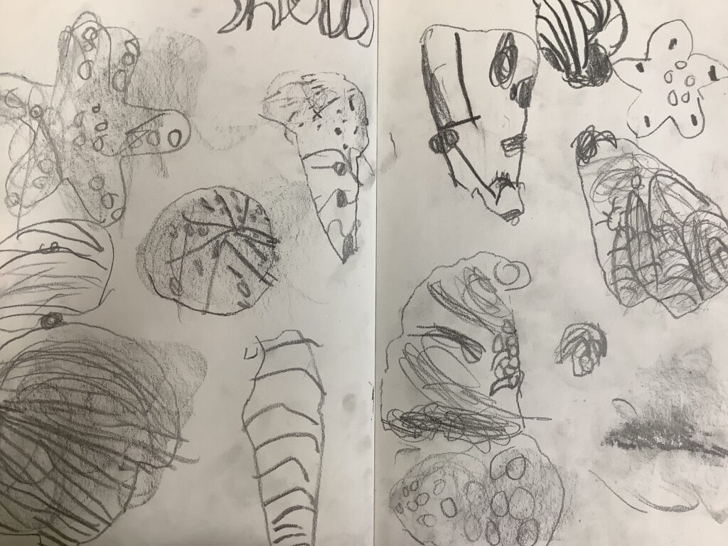 Artist of the week