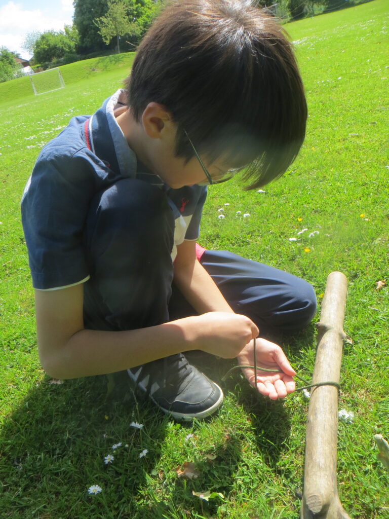 Year 5 - Sliding Knot and Hammocks - Forest School