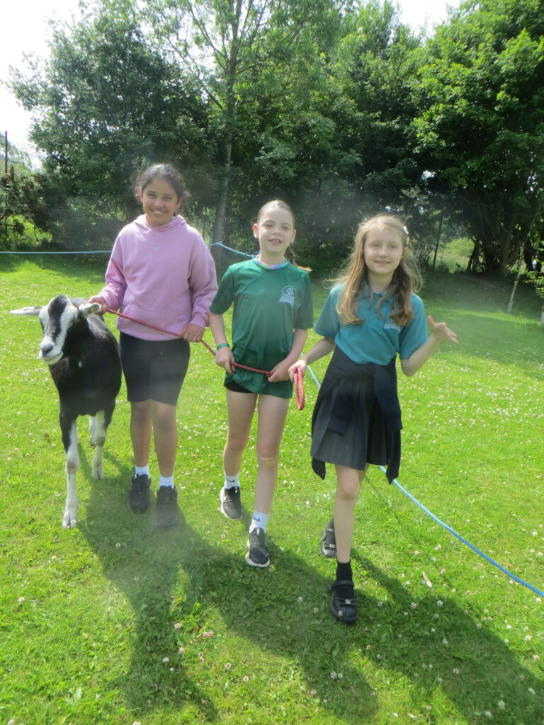 Wellbeing Wednesday - Forest School