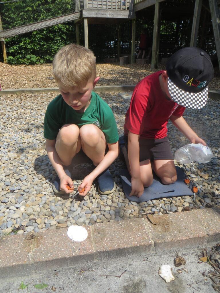 Year 3 - Skills Recap - Forest School