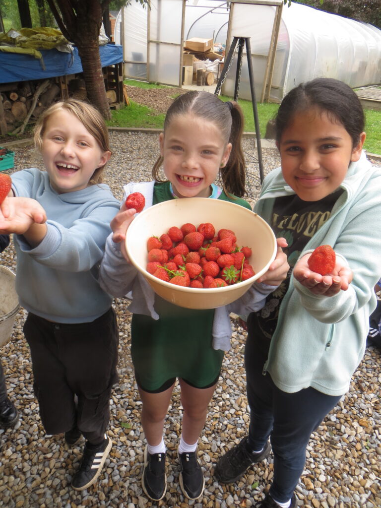 Wellbeing Wednesday - Forest School
