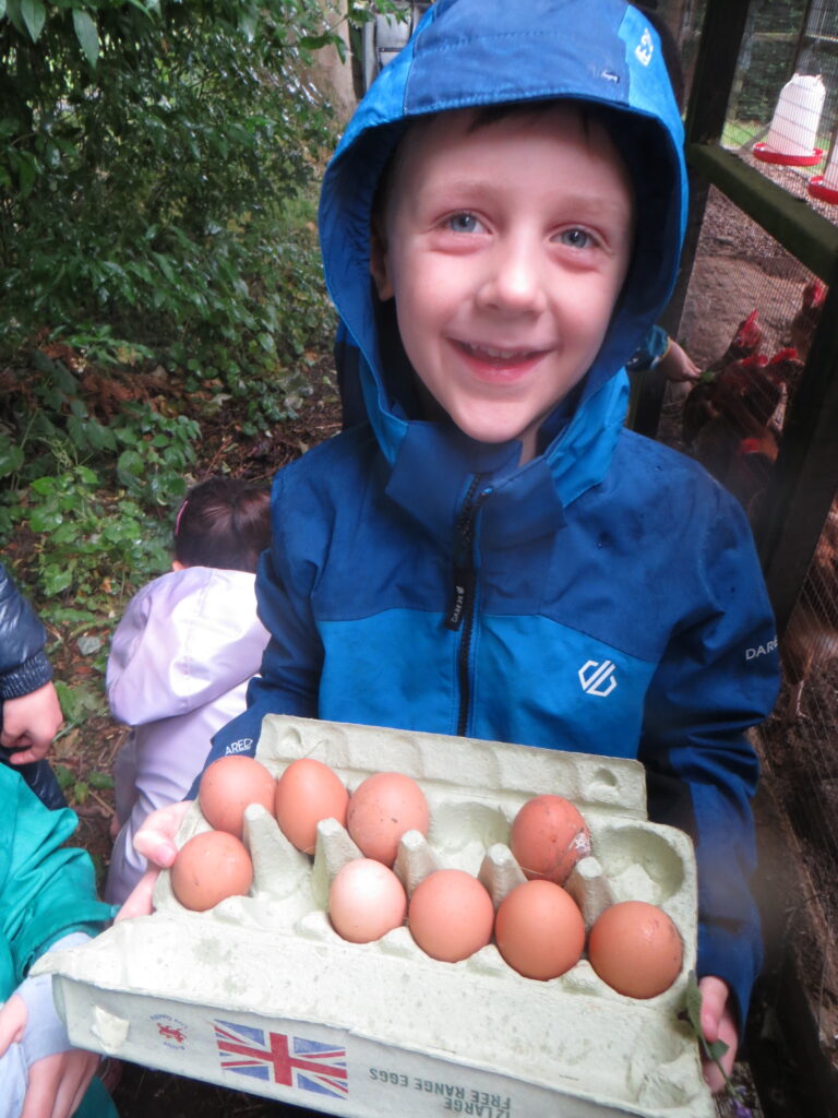 Wellbeing Wednesday - Forest School