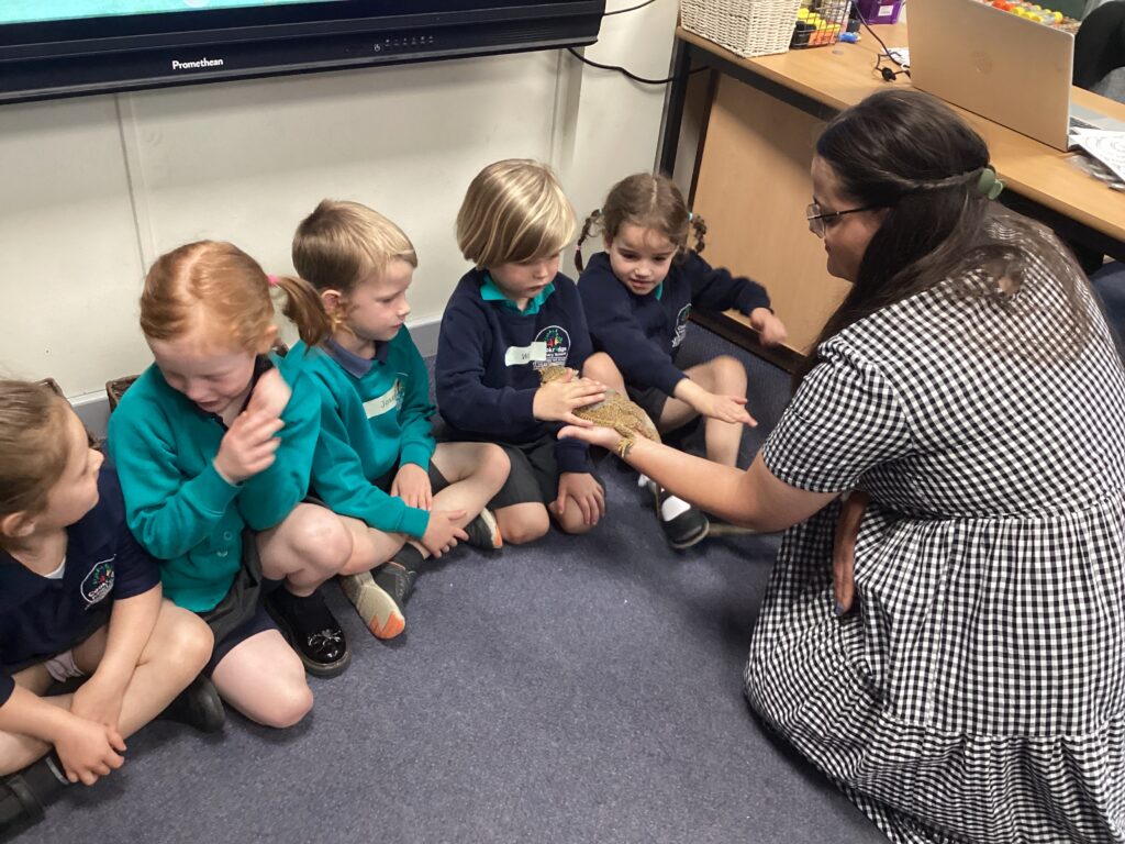 KS1 - Class 2 - Day 1 of Transition