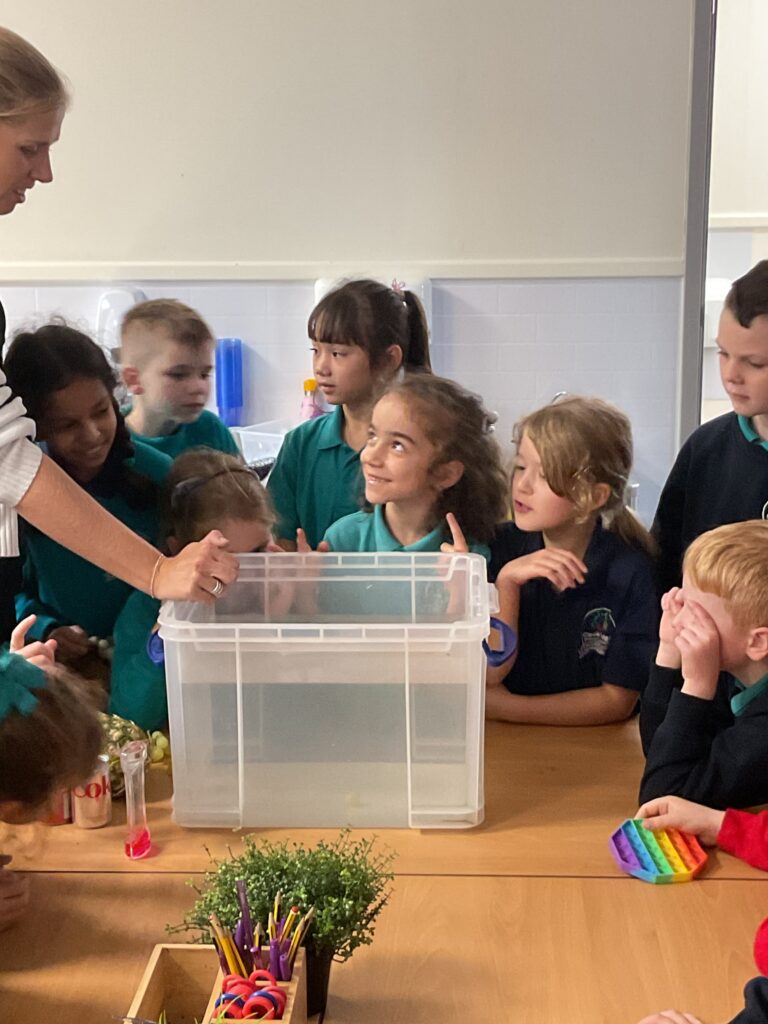 LKS2 - Class 4, 5 & 7 - Science