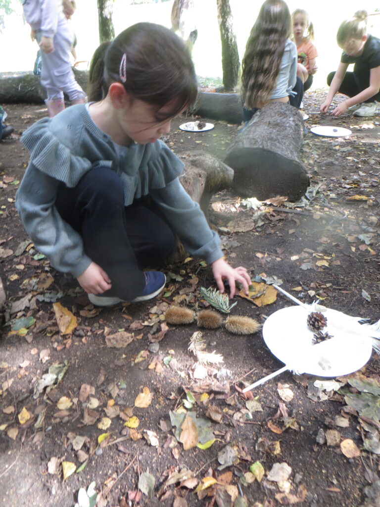 KS1 - Loose Parts - Forest School