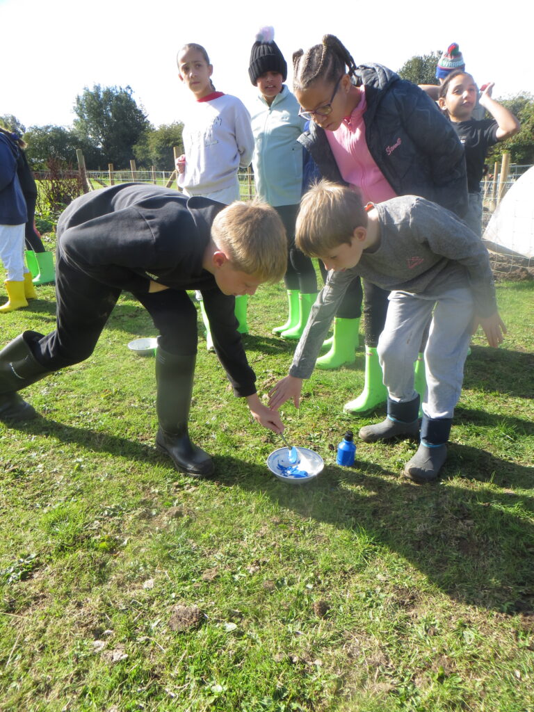 Y6 Group 1 - Little Beck Farm