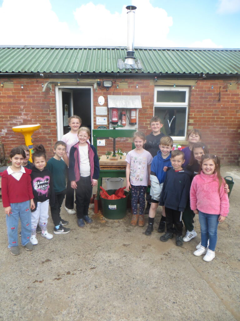 Wellbeing Wednesday - Forest School