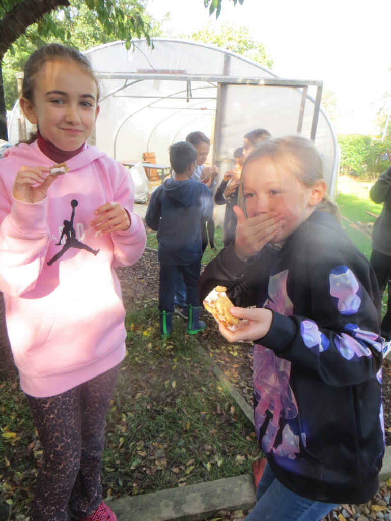 UKS2 - S'more Challenge - Forest School