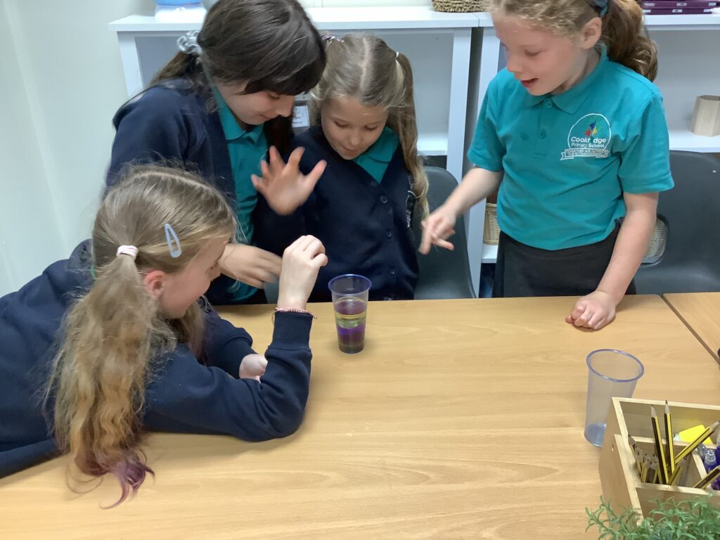 LKS2 - Science - Density