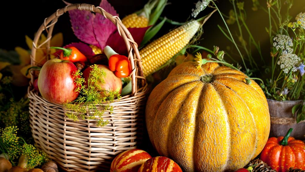 Harvest Festival