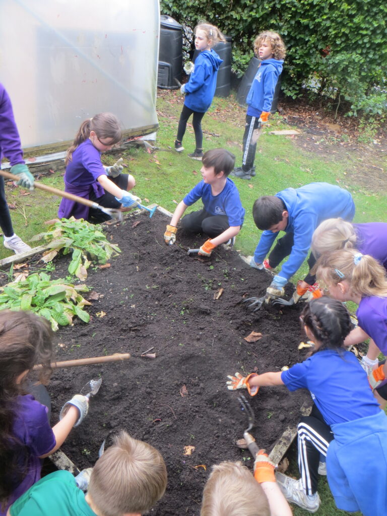 Year 3- Grow to School Garden Project