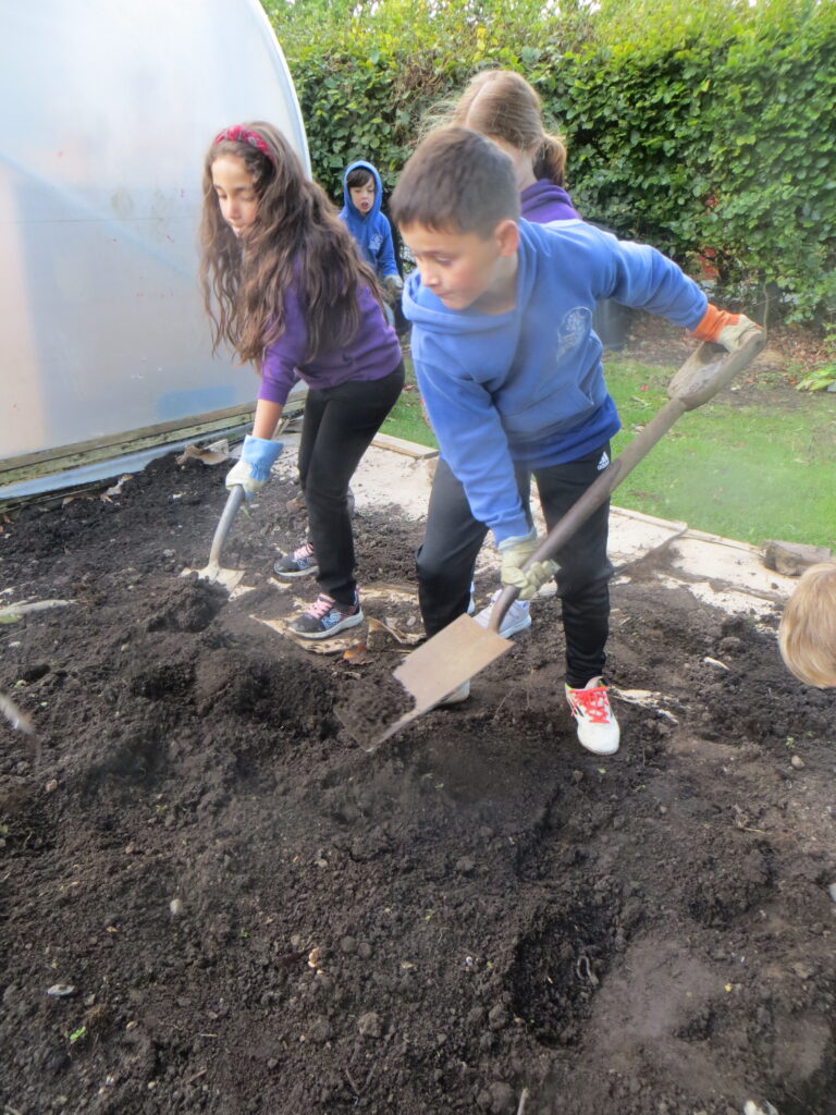 Year 3 - Garden Project - Forest School