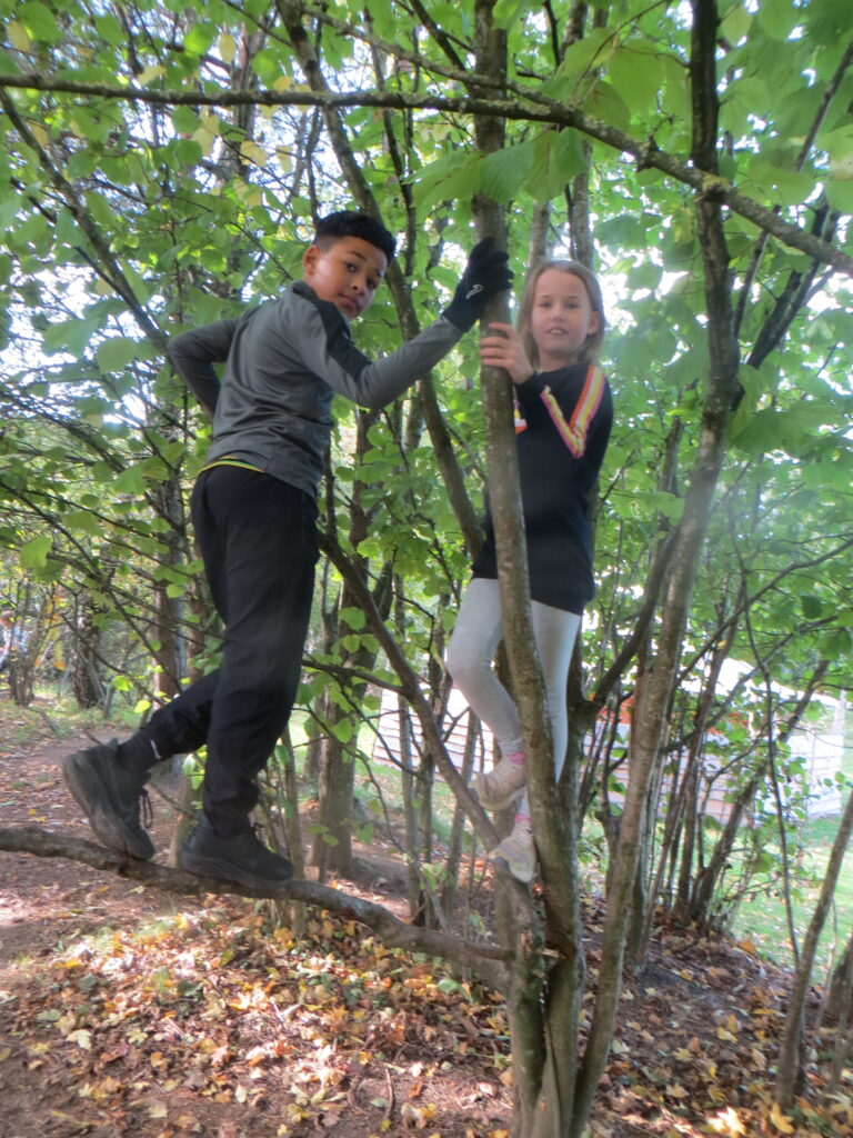 Year 4 - World Mental Health Day - Forest School