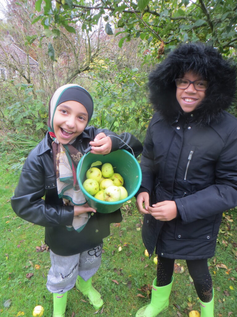 Year 6 Group 1 - Little Beck Farm
