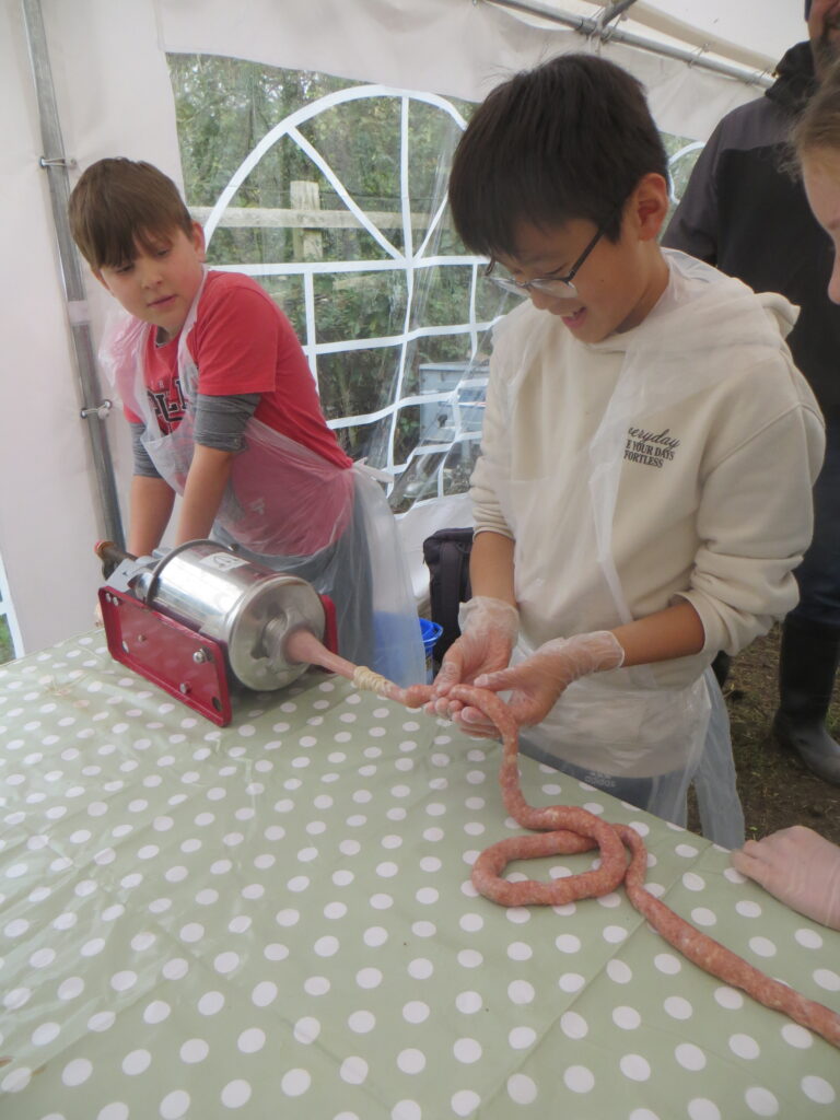 Year 6 Group 2 - Little Beck Farm