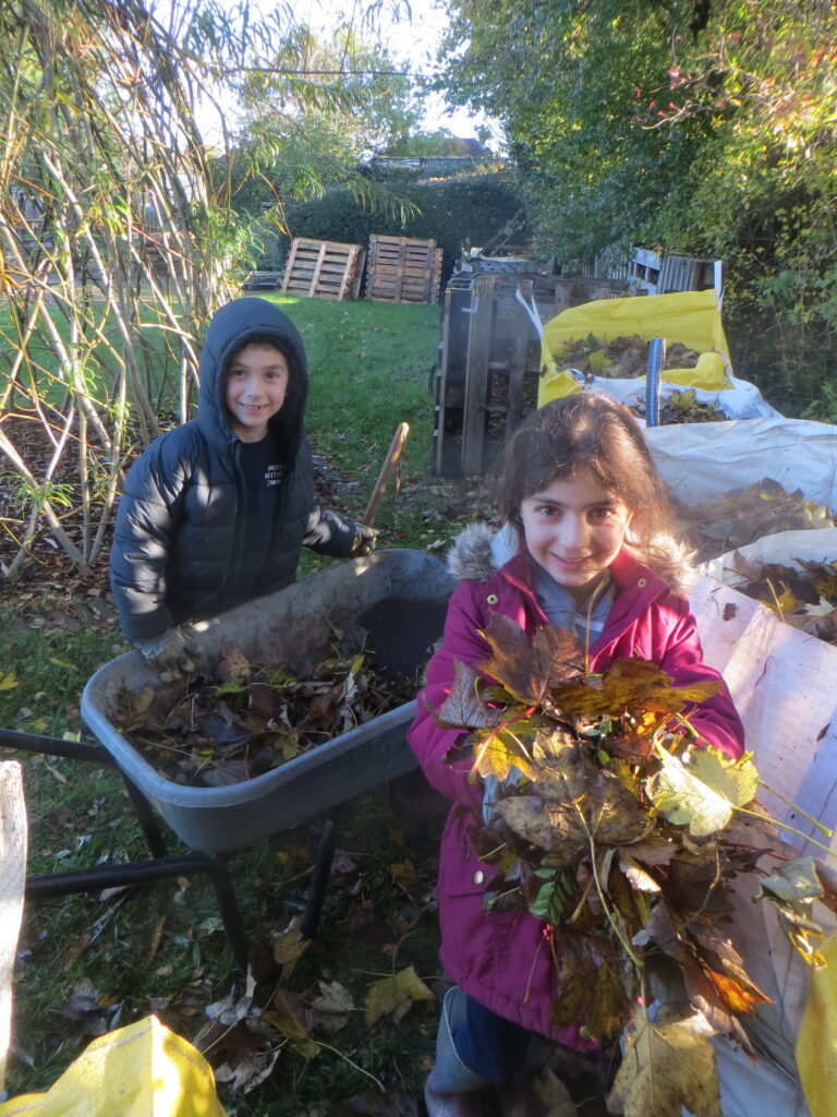 Wellbeing Wednesday - Forest School
