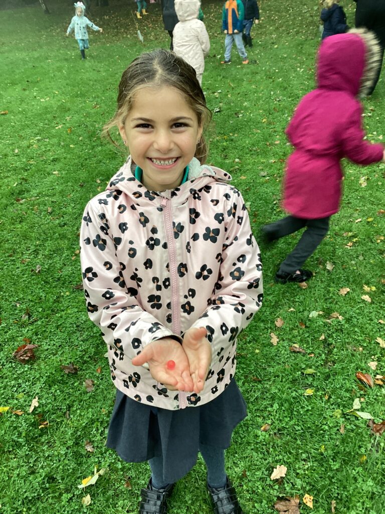 KS1 - Class Three - Bog Baby