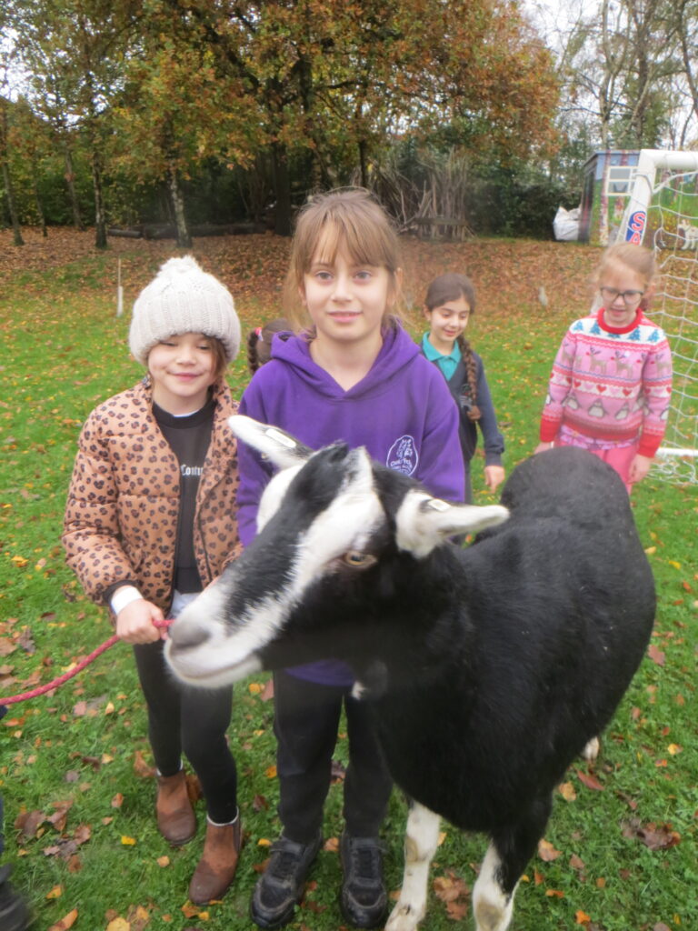 Wellbeing Wednesday - Forest School