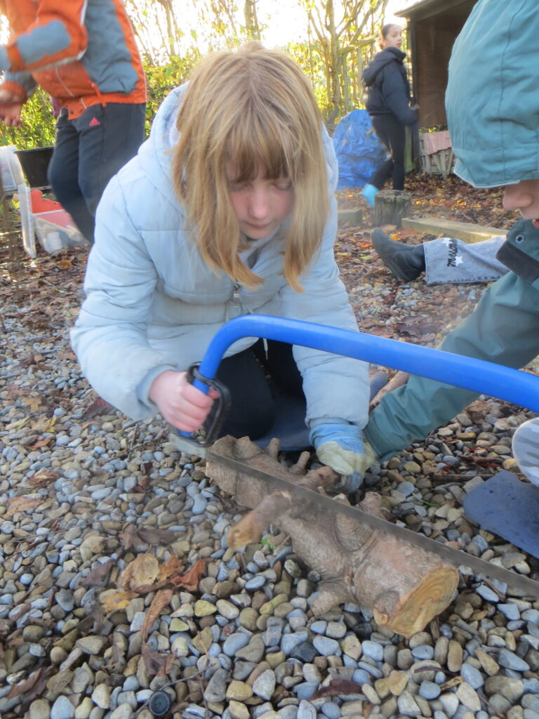 UKS2 - Tools - Forest School