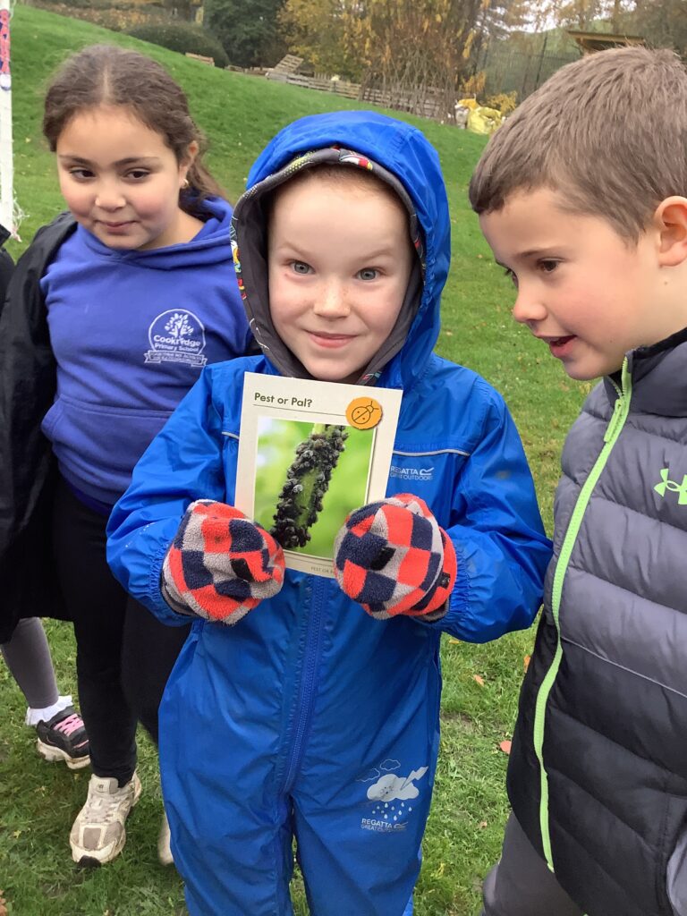 Year 3 - Grow to School Garden Project