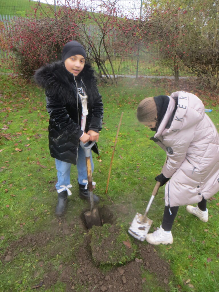 Year 6 - Orchard Preparation - Forest School