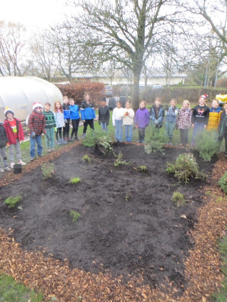 Year 5 - New Kitchen Garden - Forest School