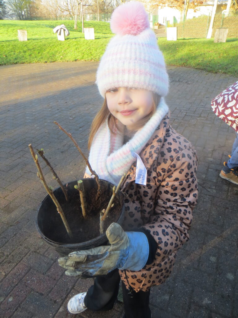 Wellbeing Wednesday - Forest School
