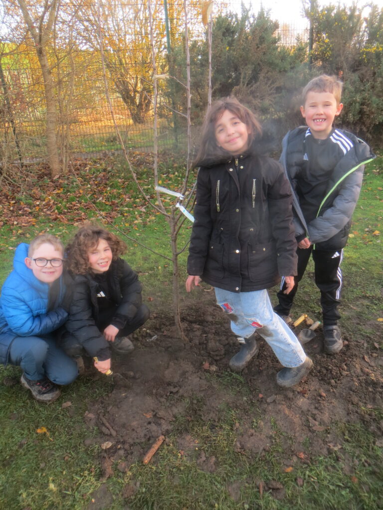 Tree Planting - Forest School