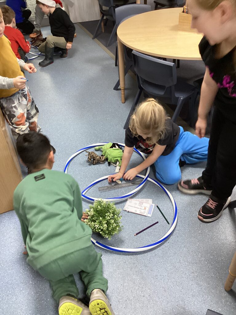 KS1 - Science - Everyday materials - Using Venn Diagrams