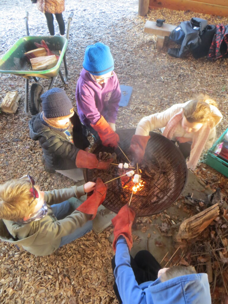 Wellbeing Wednesday - Forest School