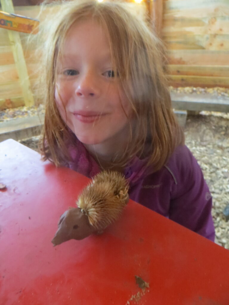 Year 4 - National Hedgehog Day - Forest School