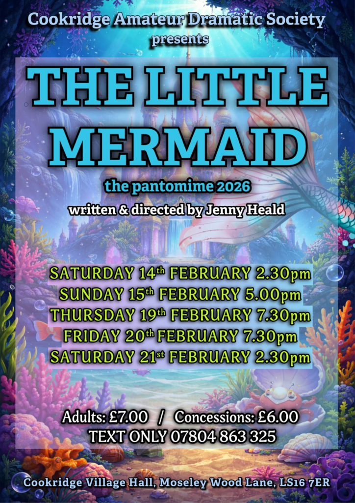 Cookridge Village Hall Pantomime